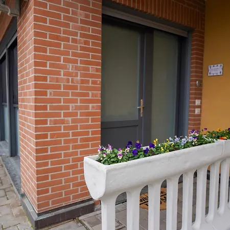 Glicine Leonardo Academy, Mxp & Laghi * Sesto Calende