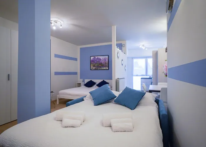 Glicine - Radice Comfort - Leonardo, Mxp & Laghi